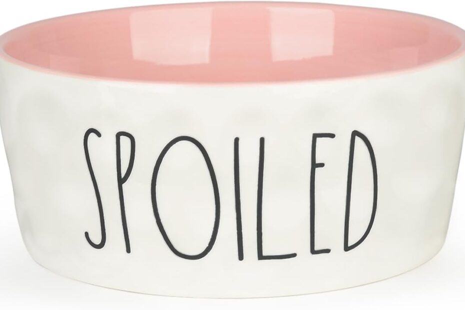 Elevate Mealtime: Review of the 27OZ Heavy-Duty Ceramic Dog Bowl in Pink