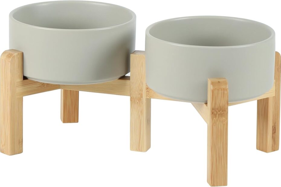 Elevate Mealtime: Review of the Ceramic Raised Double Bowls Set for Small Dogs