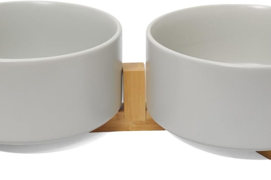 Elevate Mealtime: Review of the Stylish No-Spill Dog Food Bowl Set