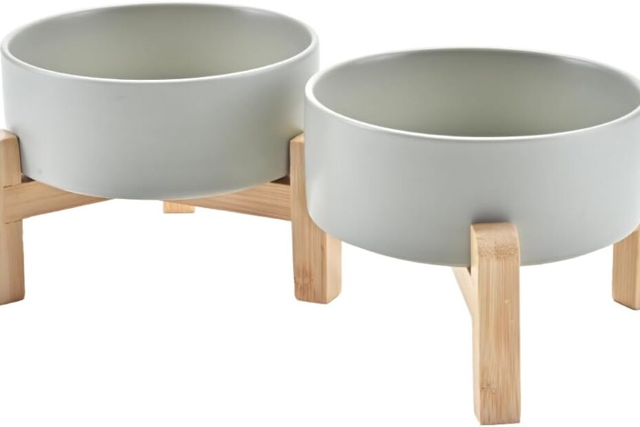 Elevate Mealtime: SPUNKYJUNKY Ceramic Dog Bowls with Bamboo Stand Review