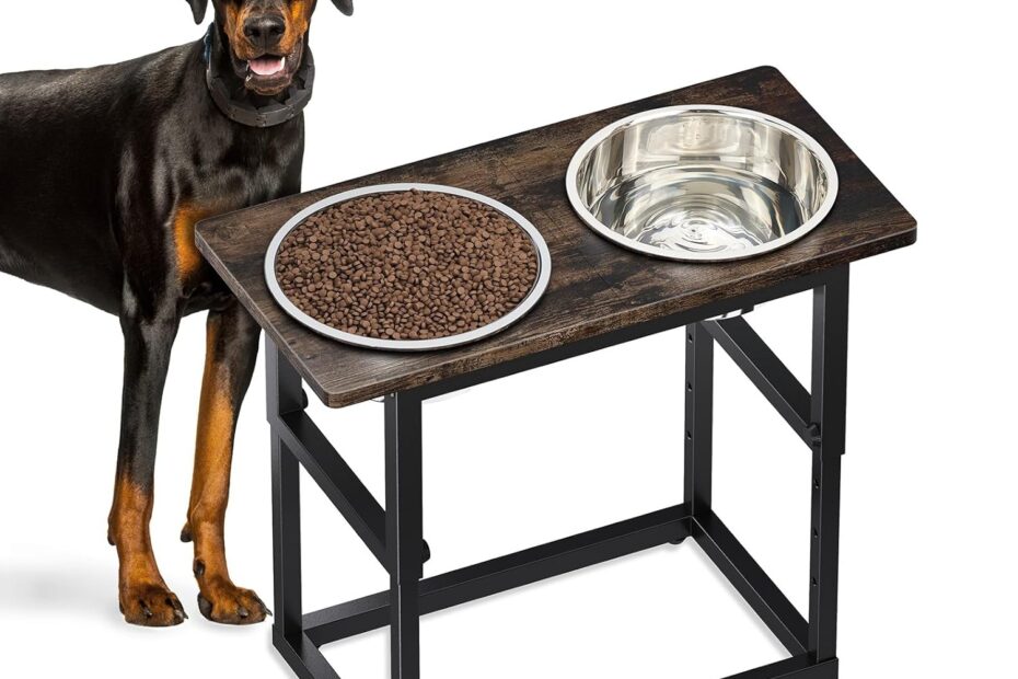 Elevate Mealtime: The Best Adjustable Dog Bowls for Large Breeds
