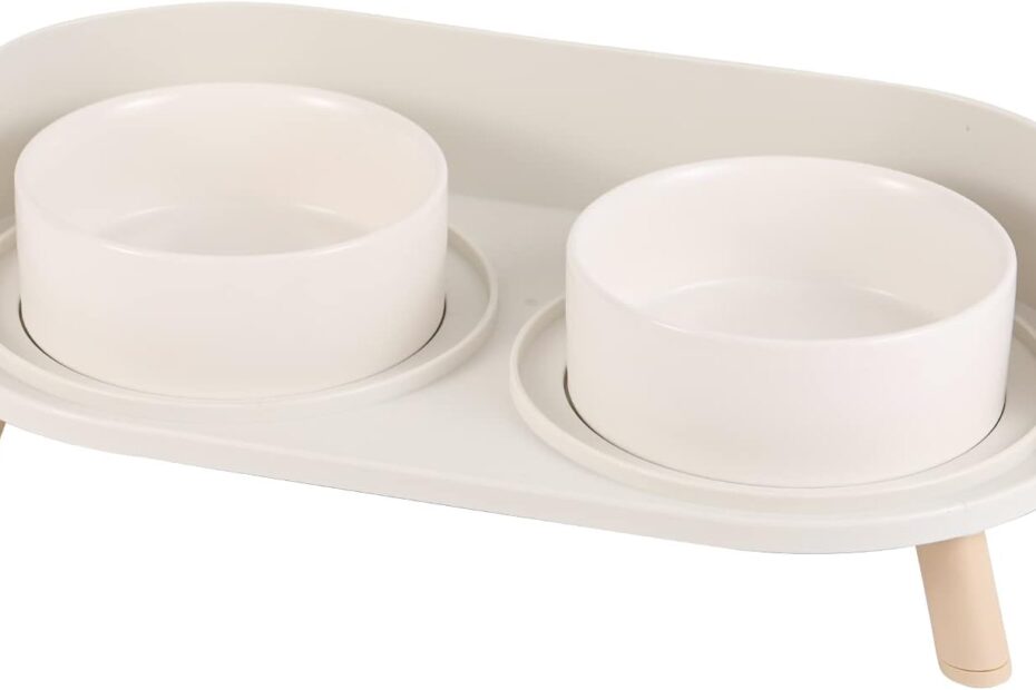 Elevate Mealtime: The Best Raised Cat & Dog Bowl Set Review!