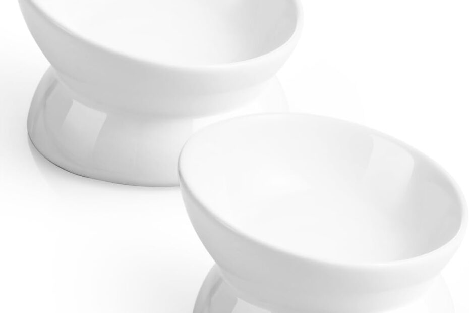 Elevate Mealtime: The LoeJan Anti-Vomiting Cat & Dog Bowls Review!