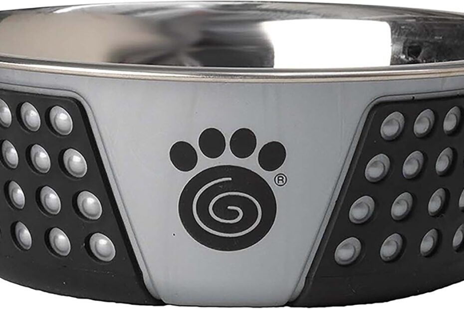 Elevate Mealtime with the PetRageous Fiji Stainless Steel Dog Bowl: A Must-Have for Medium to Large Breeds!