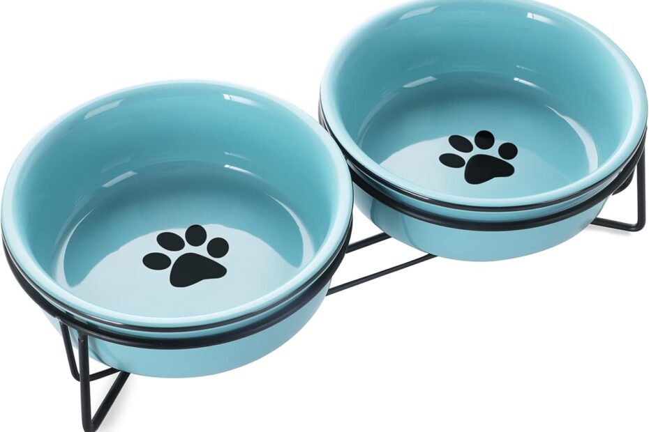 Elevate Your Cat's Dining Experience: GDCZ Ceramics Raised Bowls Review