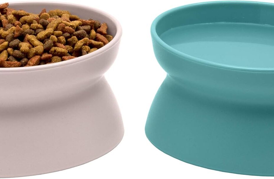 Elevate Your Cat's Dining Experience: Kitty City Raised Bowls Review