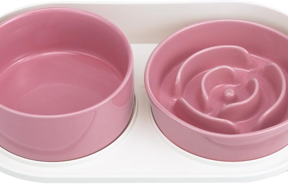 Elevate Your Dog's Dining: A Review of Elevated Slow Feeder Bowls