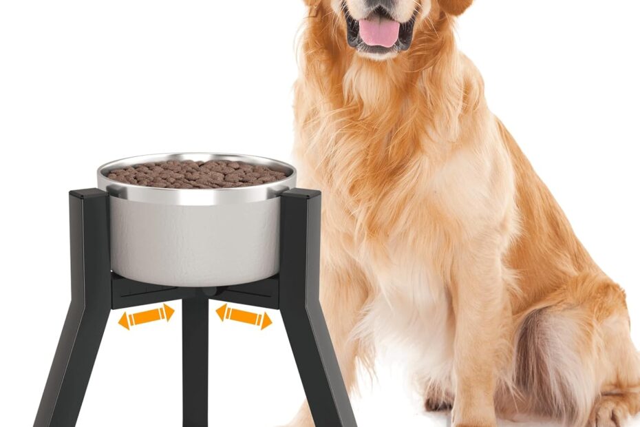 Elevate Your Dog's Dining: Adjustable Dog Bowl Stand Review