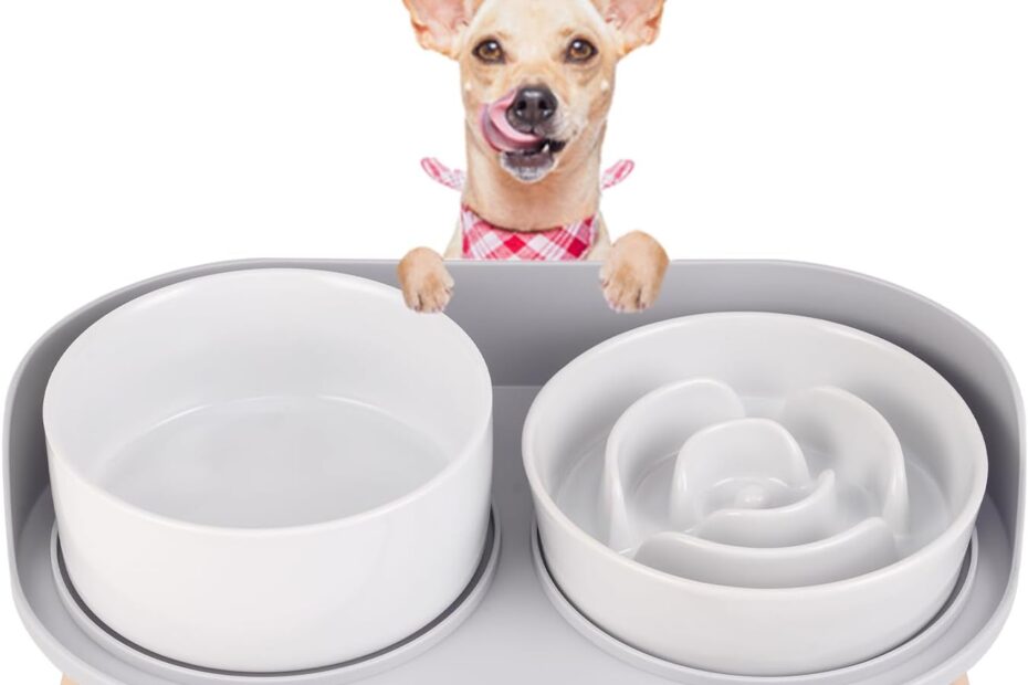 Elevate Your Dog's Dining Experience: A Review of Ceramic Slow Feeder Bowls
