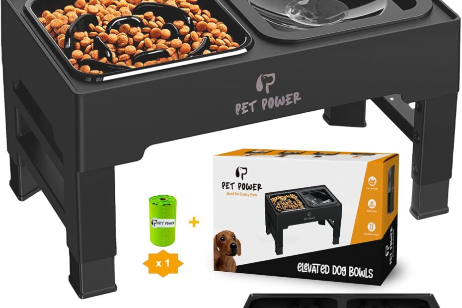 Elevate Your Dog's Dining Experience: Review of the Adjustable Elevated Dog Bowls
