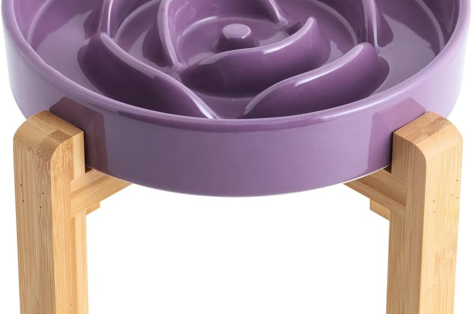 Elevate Your Dog's Dining: The Purple Ceramic Slow Feeder Bowl Review