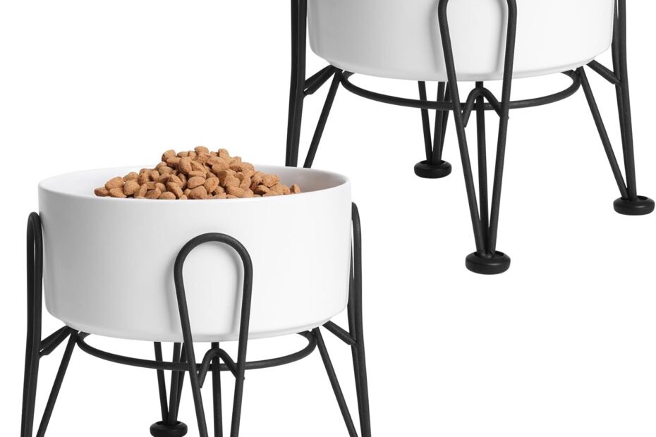 Elevate Your Pet's Dining Experience: A Review of Ceramic Raised Dog Bowls