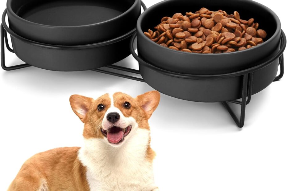 Elevate Your Pet's Dining Experience: Review of the Ceramic Dog and Cat Bowl Set