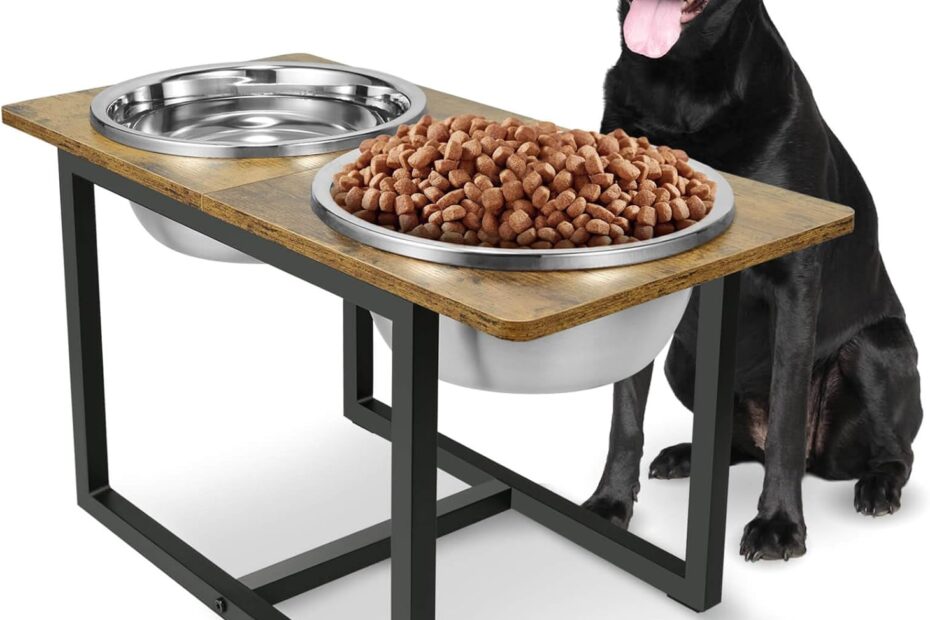 Elevate Your Pet's Dining Experience: Review of the Elevated Dog Bowls for Large Dogs