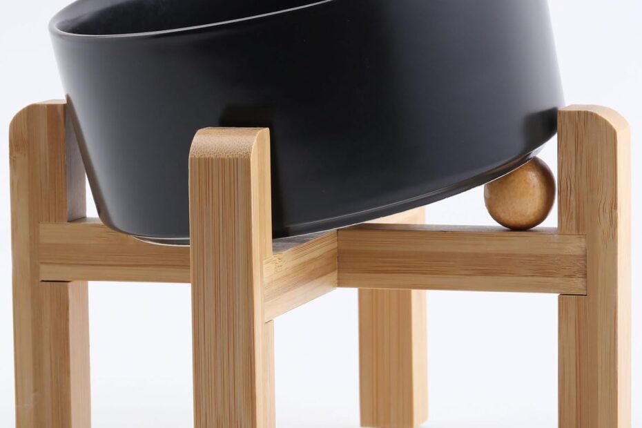 Elevate Your Pet's Dining Experience: Review of the Petygooing 15° Slanted Ceramic Dog Bowl