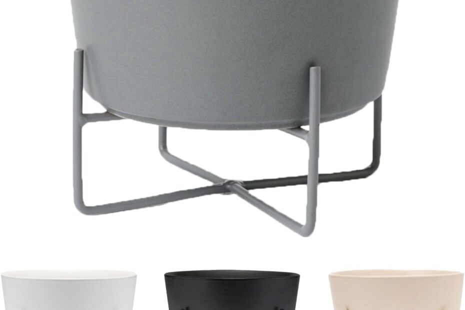 Elevate Your Pet's Dining Experience: Review of the Waggo Elevated Dog Bowl