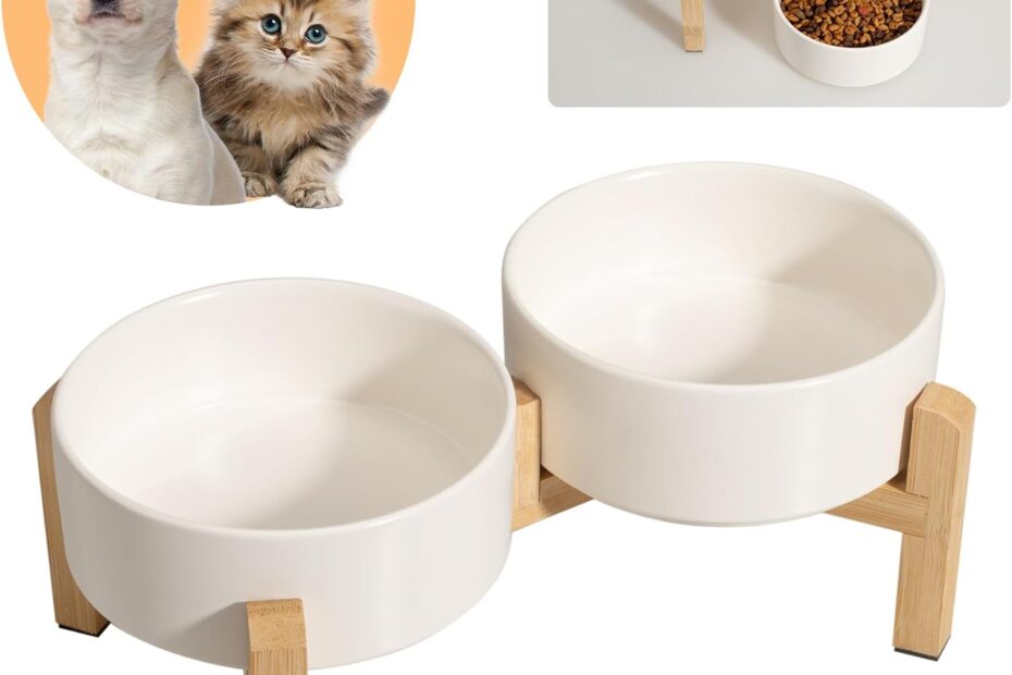 Elevate Your Pet's Dining Experience: The Ultimate Ceramic Dog Bowl Set Review