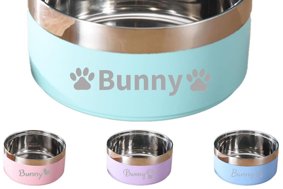 Elevate Your Pet’s Dining Experience with Personalized Dog Bowls!