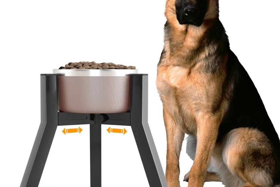 Elevate Your Pet's Dining Experience with the SHAINFUN Adjustable Dog Bowl Stand!