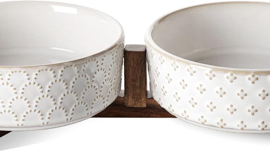Elevate Your Pet's Dining: LE TAUCI Dog Bowl Set Review