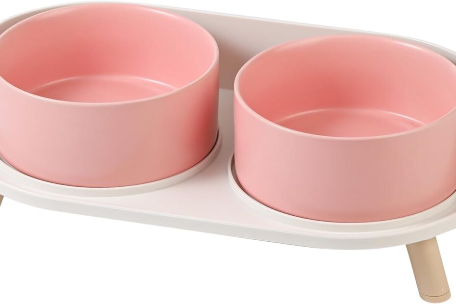 Elevate Your Pet's Dining: Review of the Elevated Ceramic Dog Bowl Set