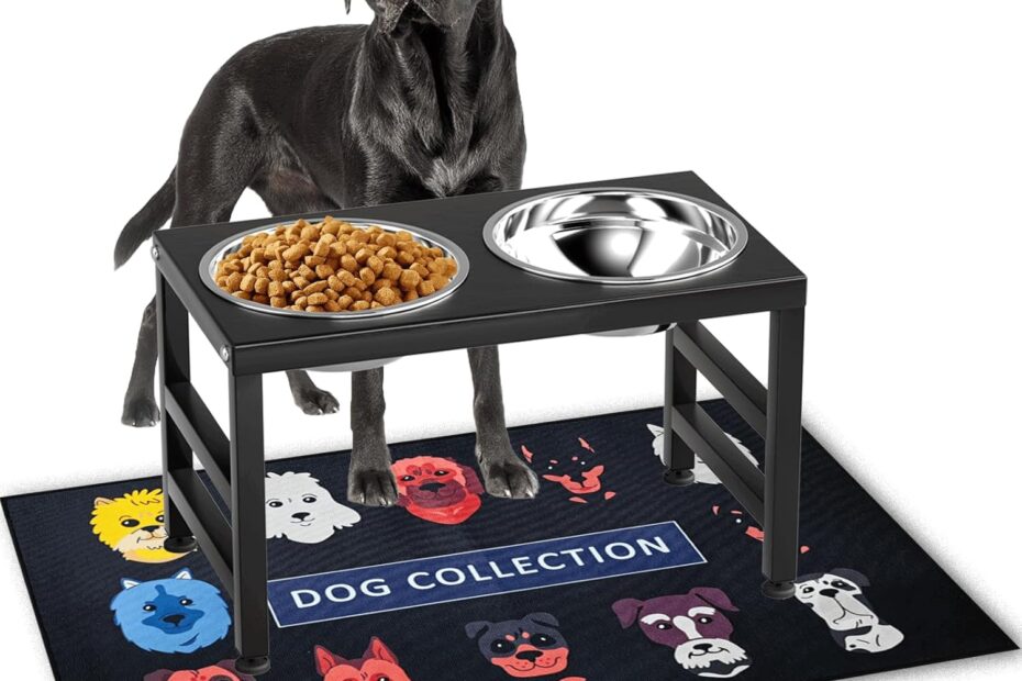 Elevate Your Pet's Dining: Review of the Metal Raised Dog Bowl Stand