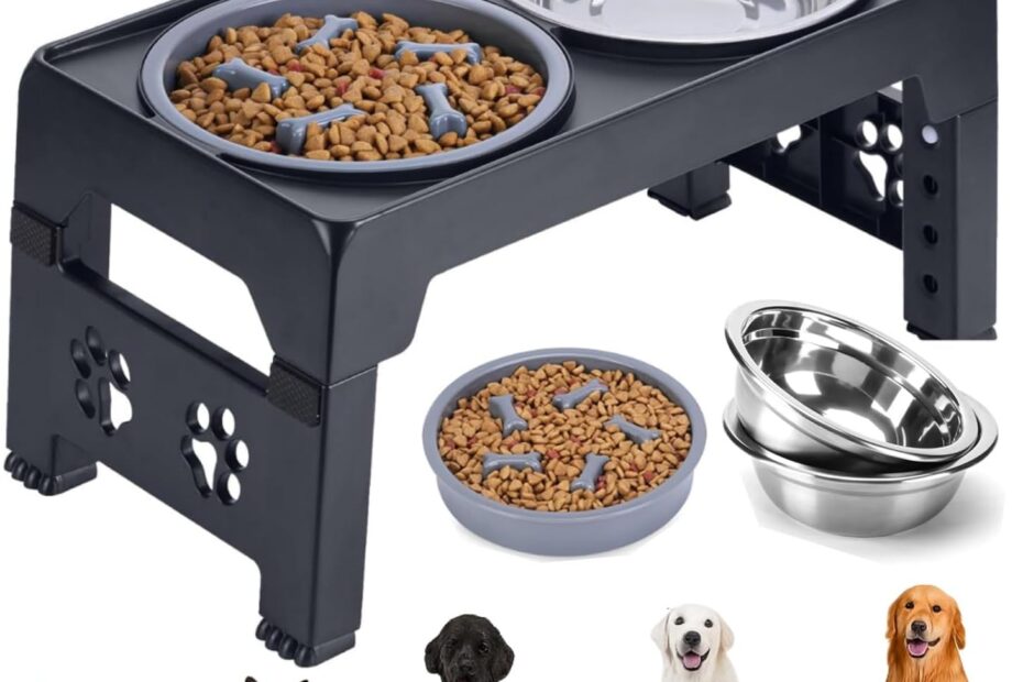 Elevate Your Pup's Dining Experience: A Review of Adjustable Elevated Dog Bowls