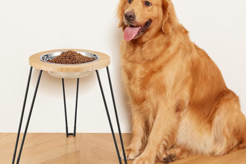 Elevate Your Pup's Dining Experience: Yangbaga Elevated Dog Bowl Reviewed!
