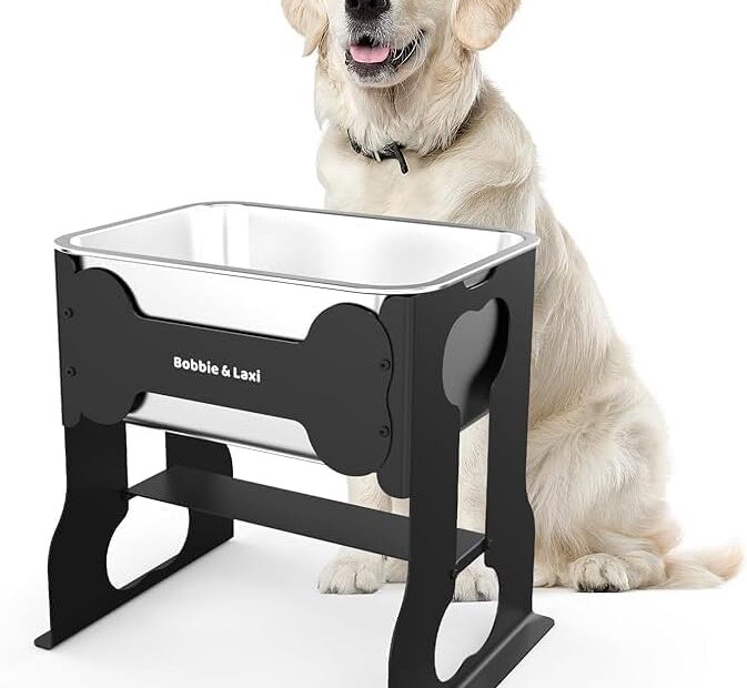 Elevate Your Pup's Hydration: Review of the 2.4 Gallon Large Dog Water Bowl