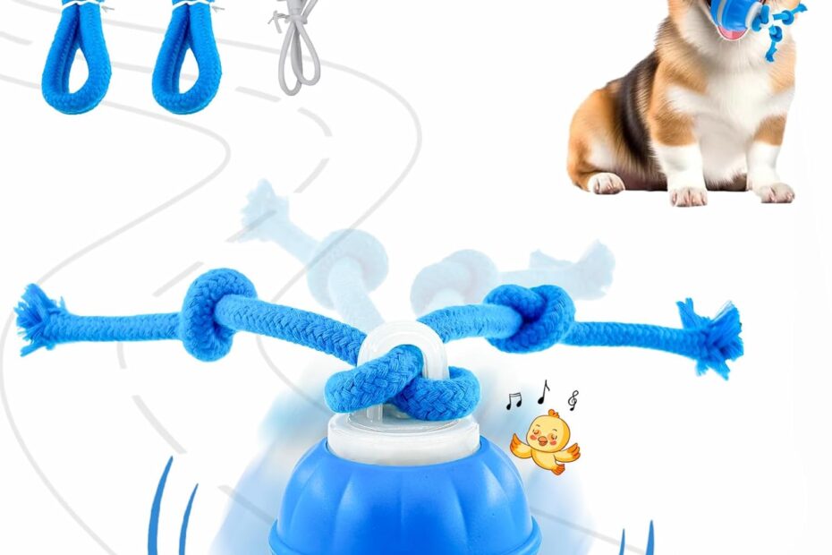 Engage and Entertain: The P06 Interactive Dog Ball Review