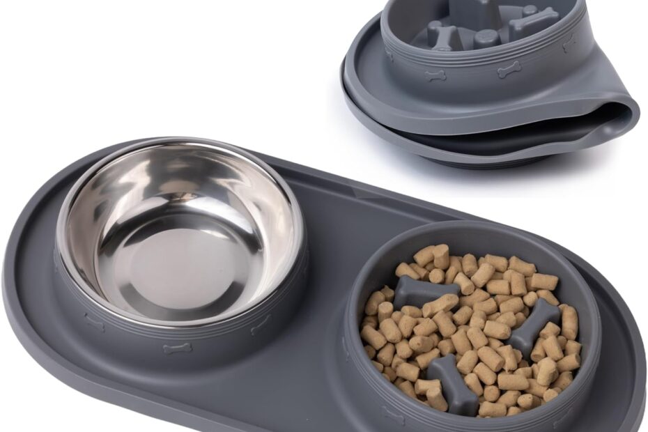 Enhance Your Pup's Health: MalsiPree Slow Feeder Bowl Review