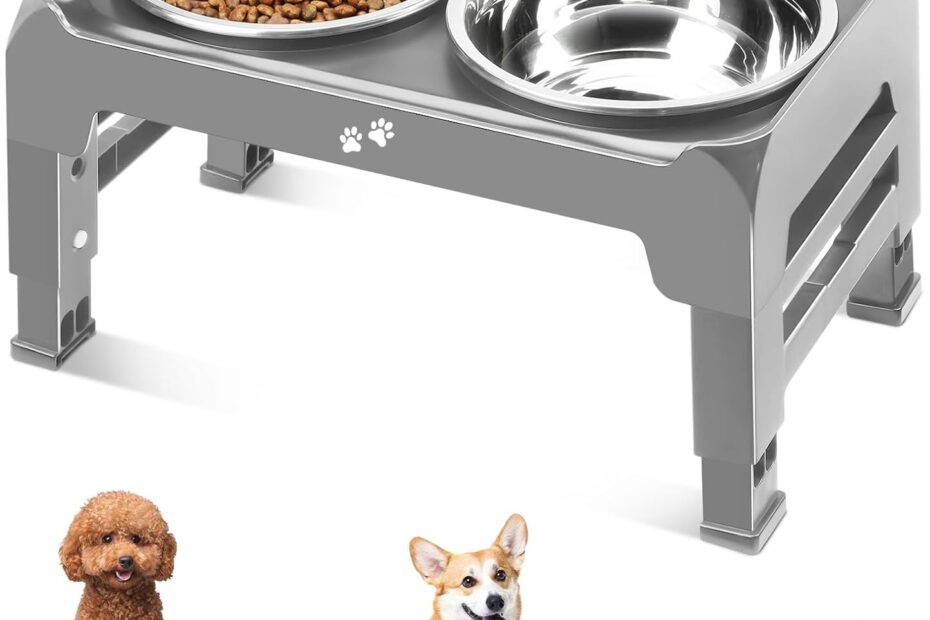 Ergonomic Dining: The Perfect Elevated Dog Bowls for Small to Medium Dogs