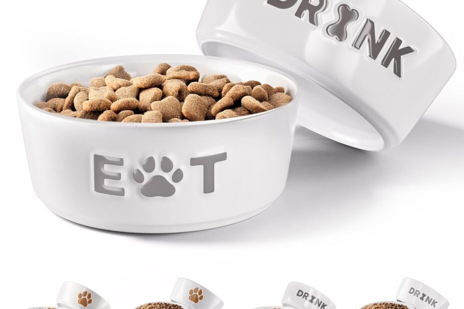 Essential Ceramic Dog Bowl Set: Style Meets Functionality for Your Furry Friend!