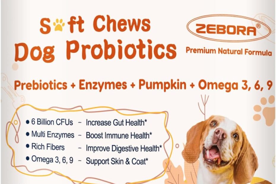 Essential Probiotics for Happy, Healthy Dogs: Reviews on Soft Chews with Pumpkin & Fish Oil