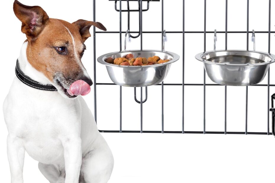 Essential Review: PETMAKER Stainless-Steel Dog Bowls - Perfect for Crates & Kennels!