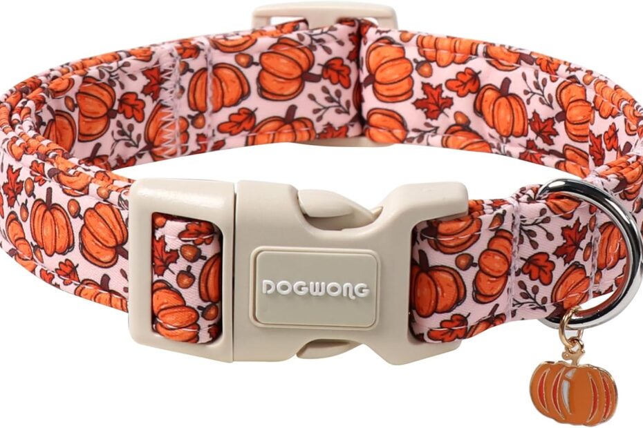 Fall in Love: Review of the Adorable DOGWONG Pumpkin Dog Collar!