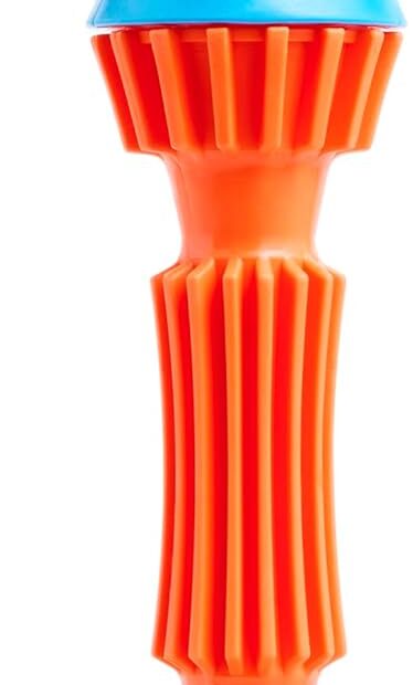 Fetch and Fun: The Ultimate Chuckit! Rugged Bumper Toy Review