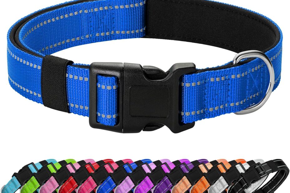 Glow in Comfort: Review of the Reflective Neoprene Dog Collar for Puppies