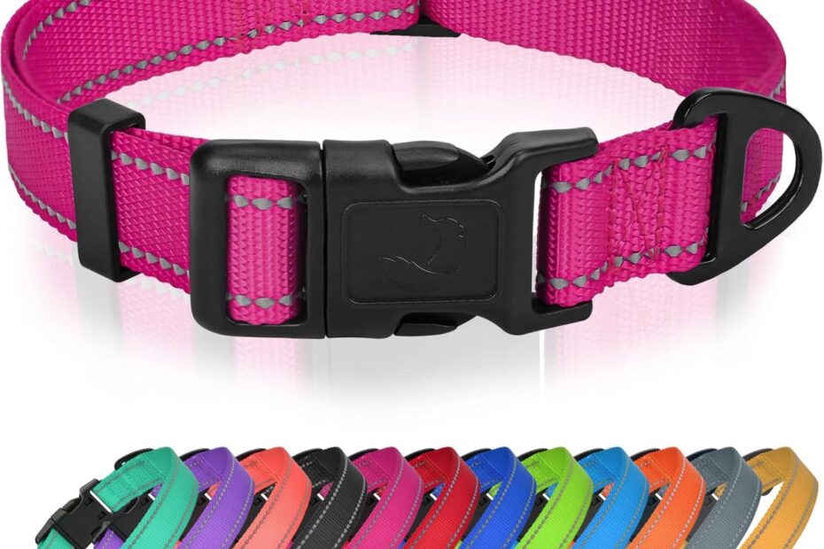 Glow in Style: The Joytale Reflective Collar for Small Dogs