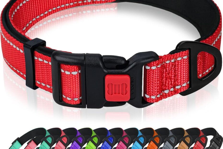 Glow Up Your Pup: A Review of the Taglory Reflective Dog Collar
