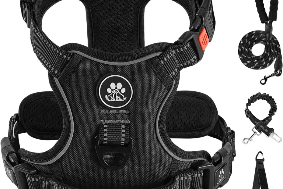 Harness the Fun: Review of IVY&LANE No Pull Dog Harness for Medium Dogs