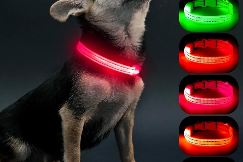 Illuminate Your Night Walks: The Ultimate Review of Visinite LED Dog Collars