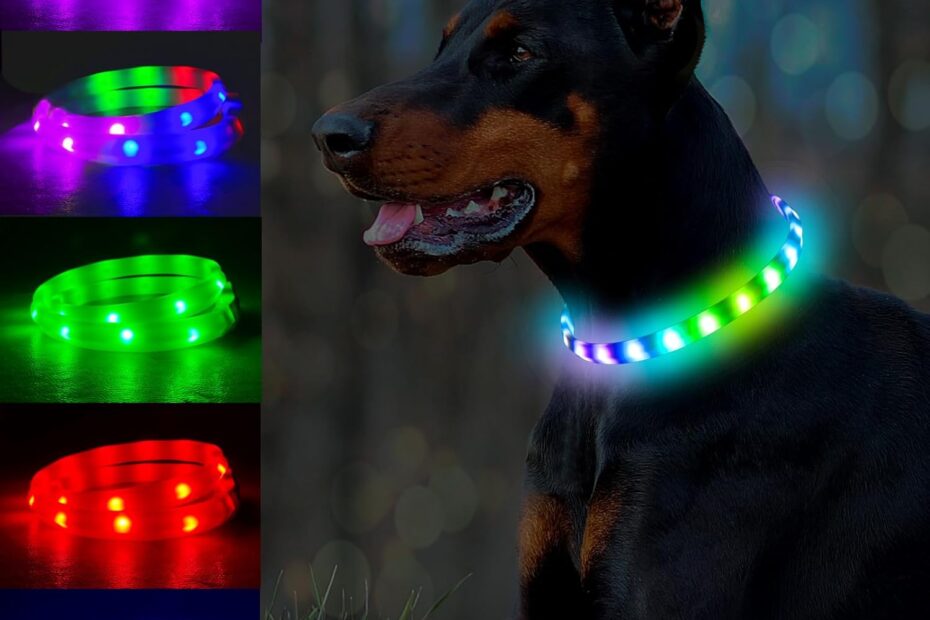 Illuminate Your Pup's Night: Review of the Multicolor LED Light Up Dog Collar