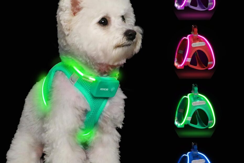 Illuminate Your Walks: Reviews on the Rechargeable LED Dog Harness!