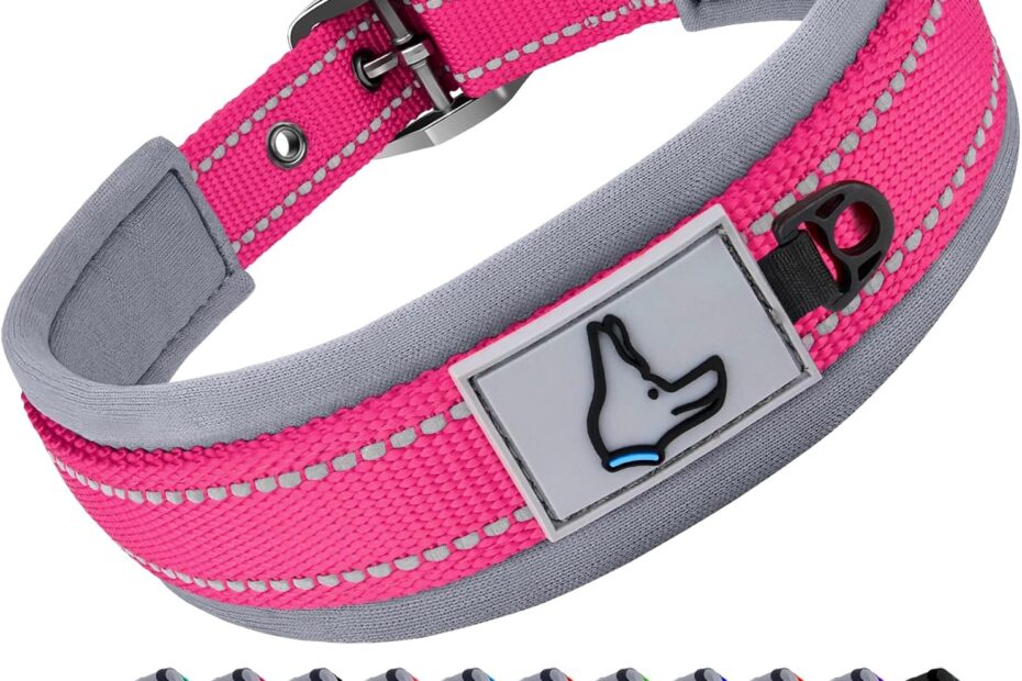 Joytale's Heavy Duty Reflective Dog Collar: Perfect Comfort for Your Medium Pup!