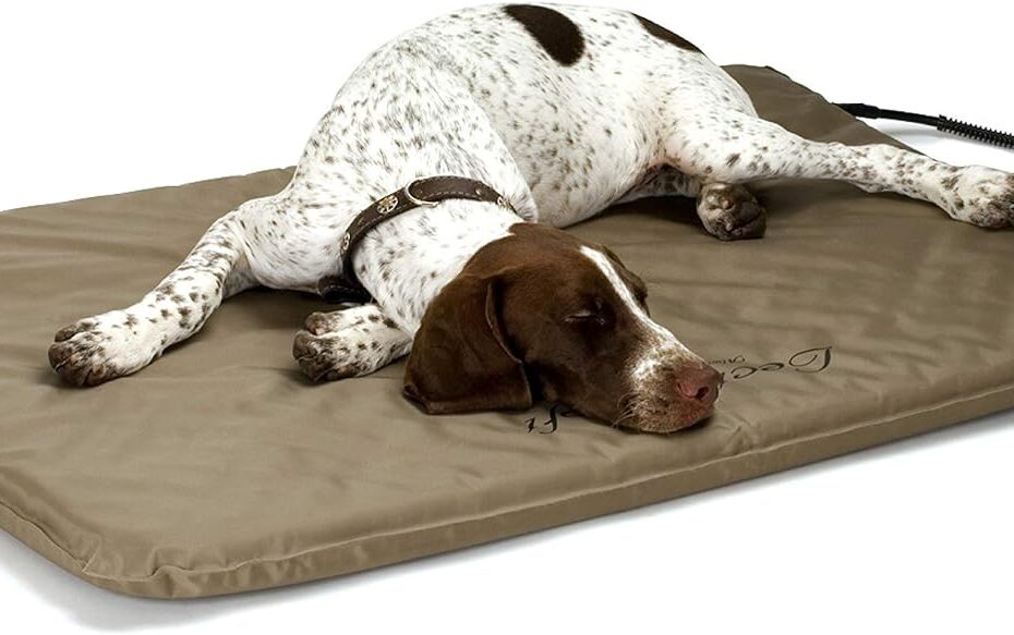 Keep Your Furry Friends Cozy: K&H Heated Orthopedic Pet Bed Review