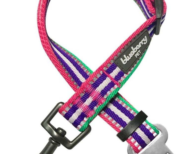Keep Your Pet Safe: Review of Blueberry Pet’s Reflective Dog Seat Belt Tether