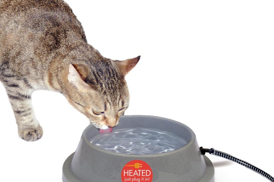 Keep Your Pets Hydrated This Winter: K&H Thermal-Bowl Review
