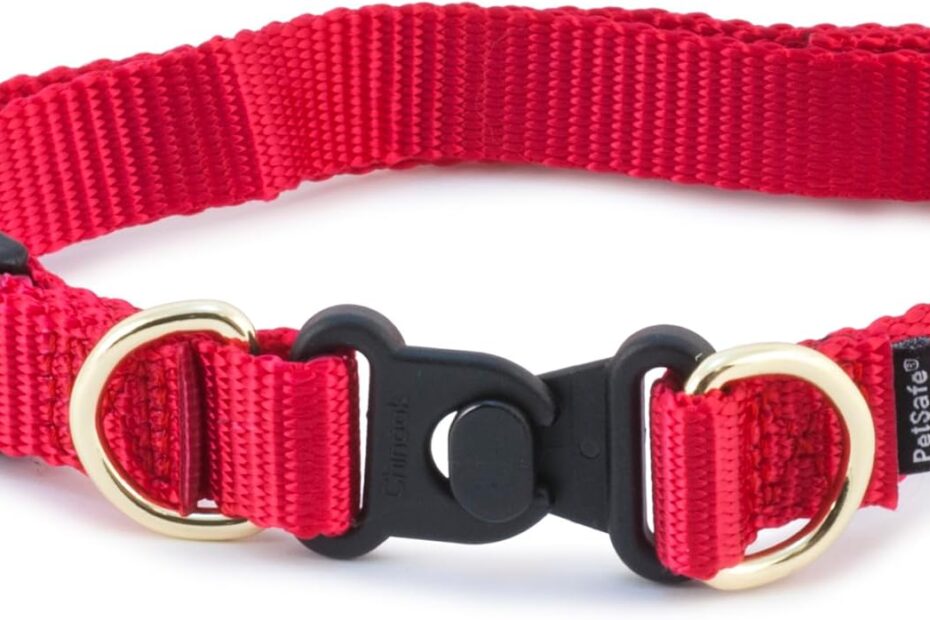Keep Your Pup Safe: A Review of the PetSafe KeepSafe Collar
