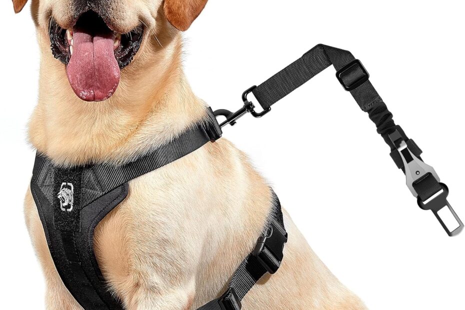 Keep Your Pup Safe: OneTigris Adjustable Dog Safety Vest Harness Review